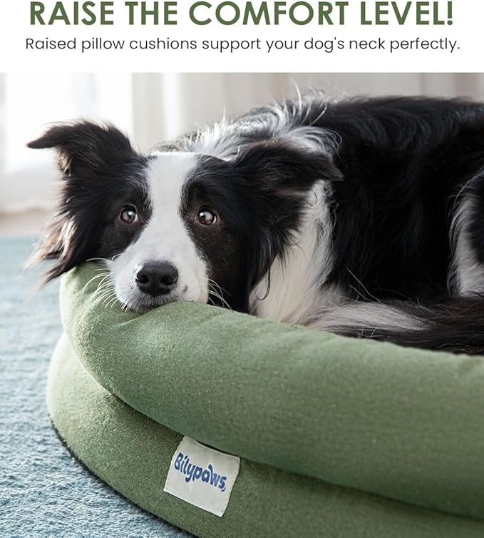 bilypaws Orthopedic Dog Bed for Medium Size Dogs, Chew-Resistant Pet Sofa Bed with Egg Crate Foam, 4-Sided Bolster, Removable Washable Cover & Anti-Slip Bottom, Medium Olivine