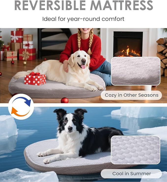 bilypaws Orthopedic Dog Bed for Large Dogs, Pet Sofa Bed with Egg Crate Foam, 4-Sided Bolster, Removable Washable Cover & Anti-Slip Bottom, X-Large Beige Bone