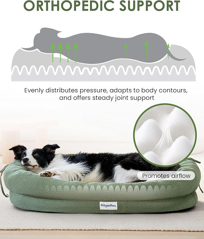bilypaws Orthopedic Dog Bed for Large Dogs, Pet Sofa Bed with Egg Crate Foam, 4-Sided Bolster, Removable Washable Cover & Anti-Slip Bottom, X-Large Calliste Green