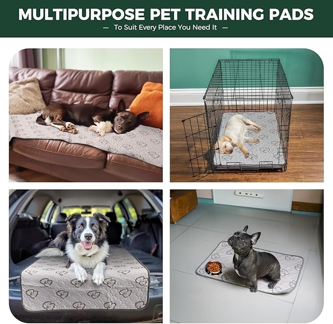FXW Washable Pee Pads for Dogs, Leak-Proof & Non-Slip, Specifically Designed for 42inch Cages, 27" x 41" Rectangle, Khaki, 1 Pack