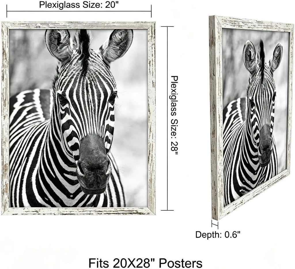 20x28 Poster Frame,Distressed,Engineered Wood with Polished Plexiglass | Large Wide Picture Frames for Vertical or Horizontal Wall Display,Fits Photos,Art Prints,FSC Certified Eco-Friendly,2 Pack