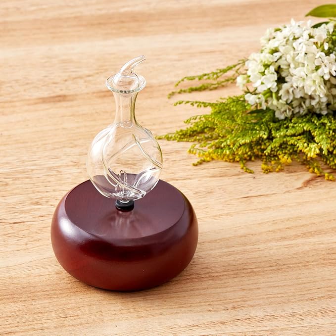 Nebulizing Pure Essential Oil Aromatherapy Diffuser, Premium Home &