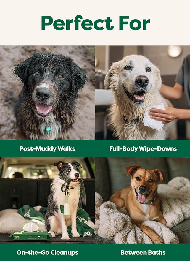 Earth Rated XL Pet Wipes for Dogs & Cats, 3-in-1 Unscented Hypoallergenic Cleaning, Deodorizing and Hydrating Extra Large Grooming for Body, Paws and Butt, Unscented, 60 Count