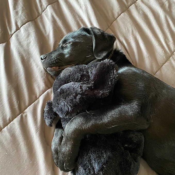 Original Snuggle Puppy Heartbeat Puppy Toy - Heartbeat Puppy for Dogs - Pet Anxiety Relief and Calming Aid - Comfort Dog Toy - Behavioral Training and Sleep Aid Cuddle buddy - Crate Training Essential