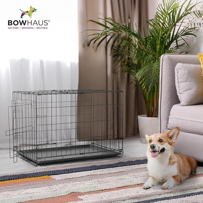 BOWHAUS 40.9-Inch Dog Crate Pan Replacement, Sturdy, Waterproof Plastic Tray for 42-Inch Pet, Rabbit Ferret Critter Kennels, Versatile Pan and Easy to Clean