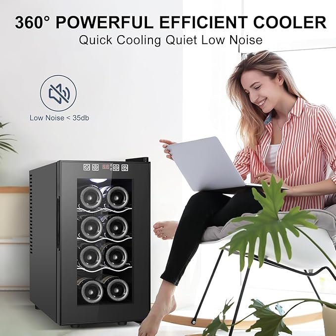 8 Bottles Wine Cooler Refrigerator, Small Wine Fridge, Mini Wine Fridge