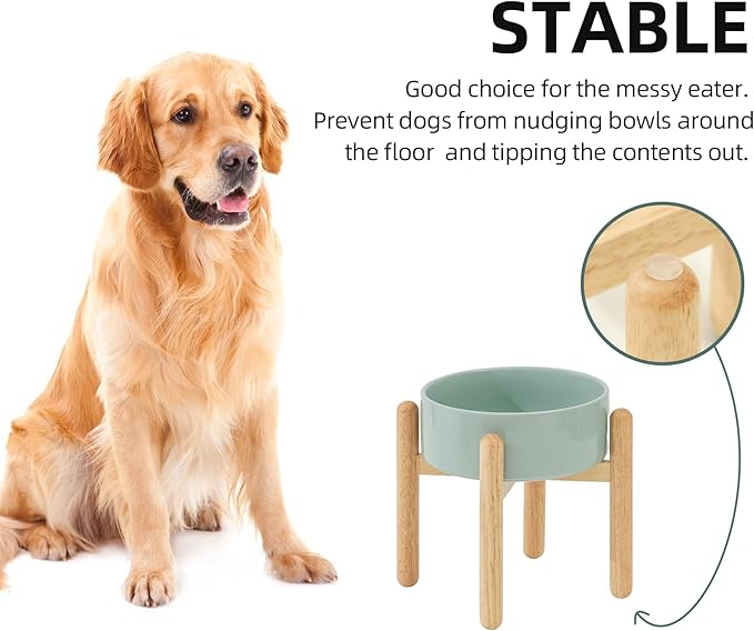 Ceramic 8.2inch Raised Dog Bowl
