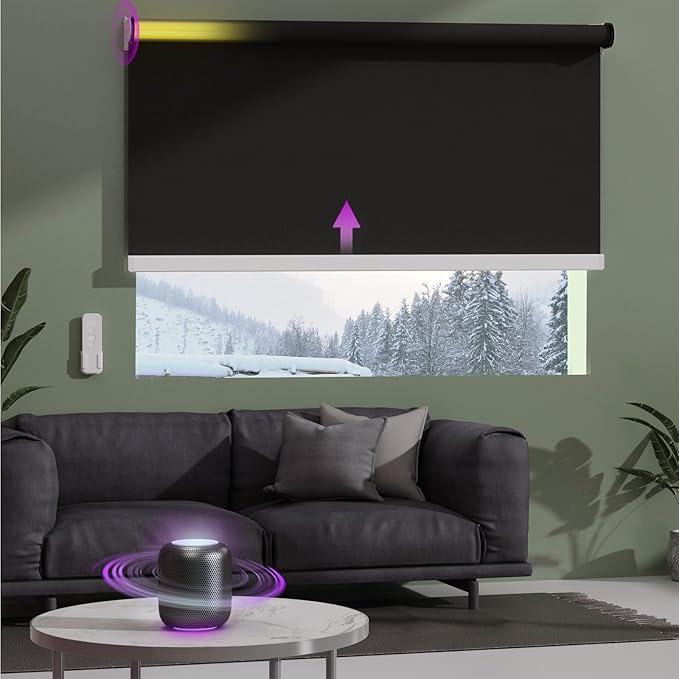 Astomi Motorized Roller Shades for Windows, Smart Blinds, Voice Control