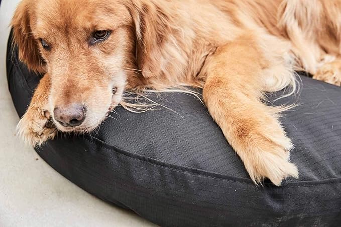 K9 Ballistics Tough Round Nesting Pillow Dog Bed - Removable Cover, Washable, Durable & Water Resistant Indoor/Outdoor Bed - XL, Blue Quartz