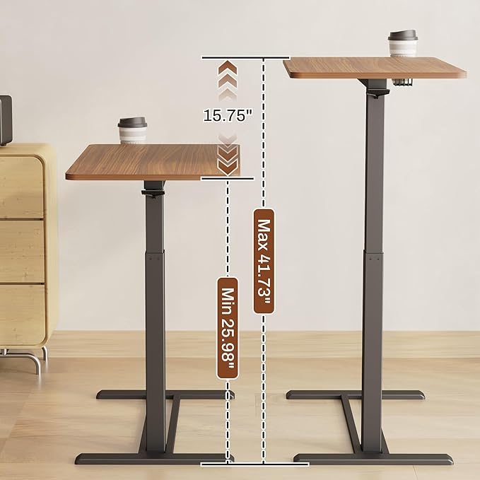 FLEXISPOT Mobile Standing Desk