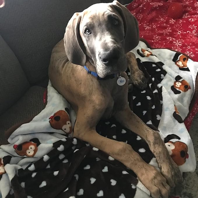 Snuggle Puppy Blanket for Pets - Cozy Dog Blanket for Small Dogs - Machine Washable Dog Blanket in Blue