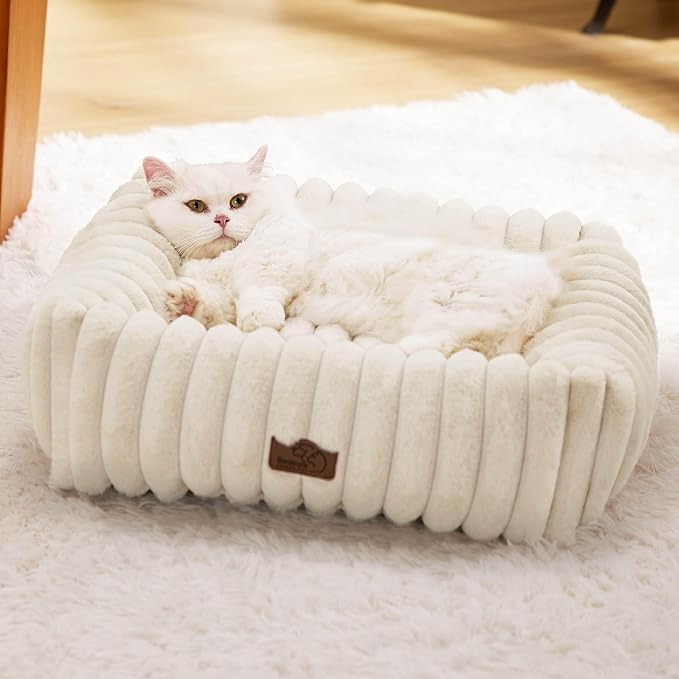 Bedsure Cute Dog Bed for Small Dogs & Cats - Washable Furry Cat Beds, Rectangle Orthopedic Corduroy Fleece Puppy Beds with Removable Zipper Cover, 20x19x6inches, Cream