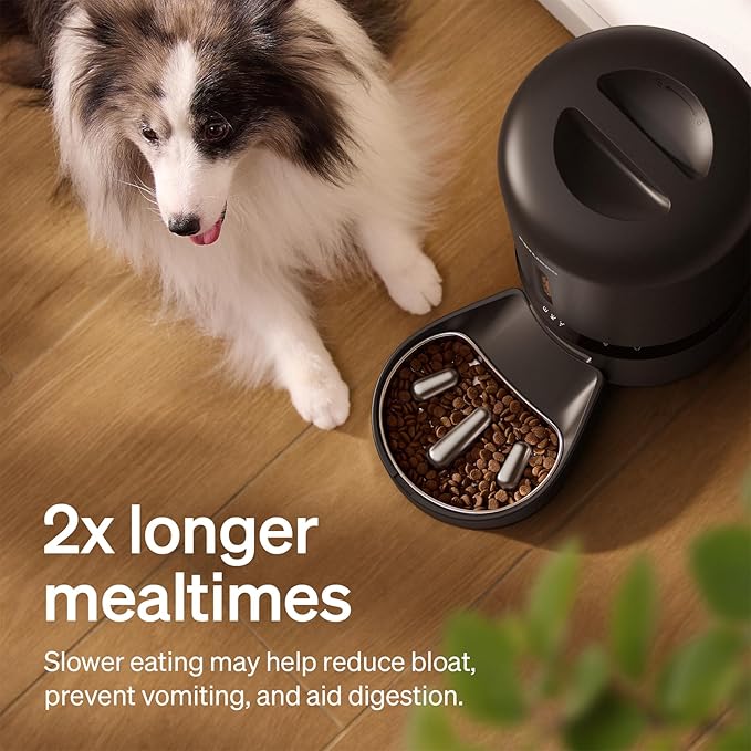 PETLIBRO Automatic Dog Feeder