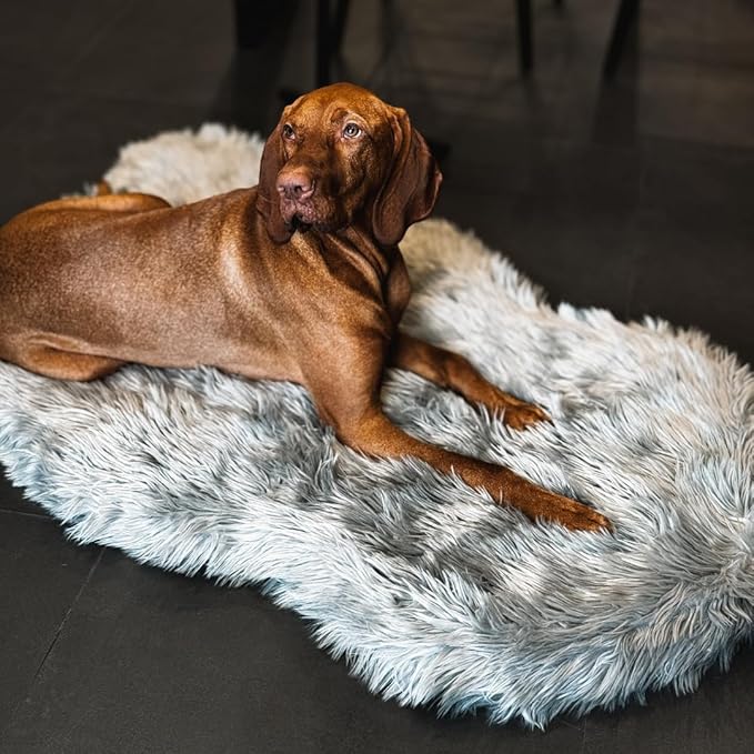IHAPPYDOG Luxury Faux Fur Orthopedic Dog Bed, Memory Foam Dog Bed for Small, Medium, Large and XL Pets, Fluffy Pet Bed with Waterproof and Washable Cover (Grey, 60"x35")
