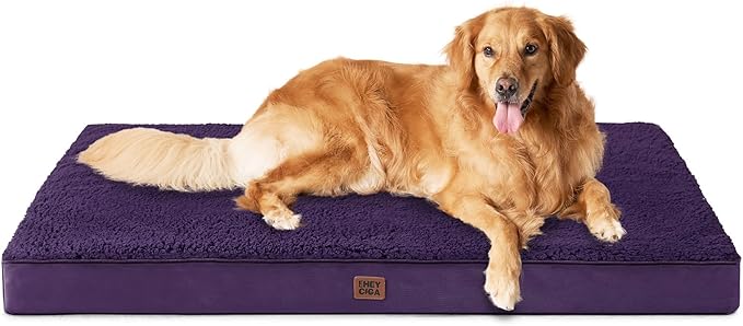 EHEYCIGA Orthopedic XL Dog Beds for Extra Large Dogs with Removable Washable Cover, Purple, 44x32