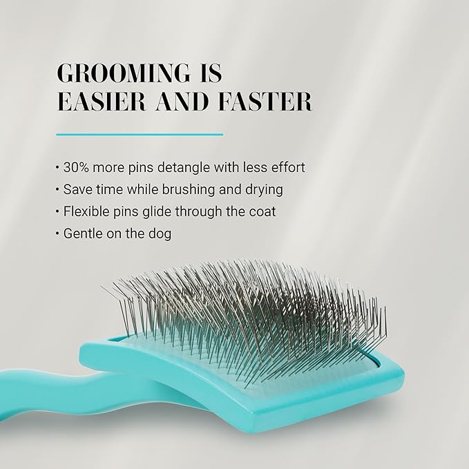 Chris Christensen Big G Dog Slicker Brush for Dogs (Goldendoodles, Labradoodles, Poodles), Groom Like a Professional, Fluff Detangle Style, Saves Time Energy, Teal, Large