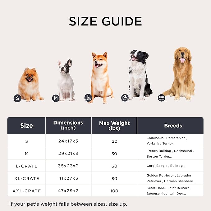 Bedsure Washable Dog Bed Medium Size Dog, Comfort Fluffy Plush Pillow Bed Crate Pad, Non-Slip and Machine Washable Kennel Pet Sleeping Mat, 29"x21", Brown