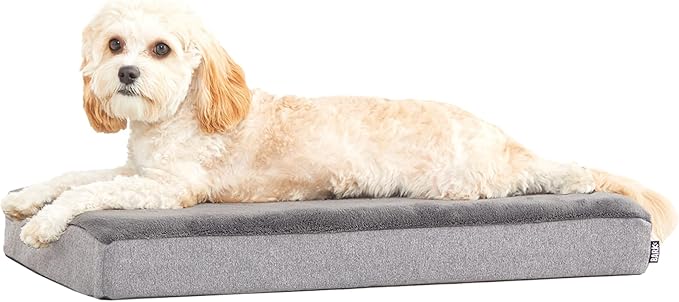 Barkbox Orthopedic Dog Bed with Memory Foam, Premium Comfort for Dogs and Puppies, Dog Beds for Joint Relief and Restful Sleep, Durable and Easy to Clean - Grey, Medium