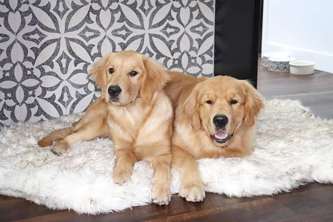 PAW BRANDS PupRug Orthopedic Dog Bed for Large Dogs with Fluffy Soft Faux Fur and Memory Foam for Joint Pain Relief, Machine Washable and Waterproof Couch Bed, White, Extra Large