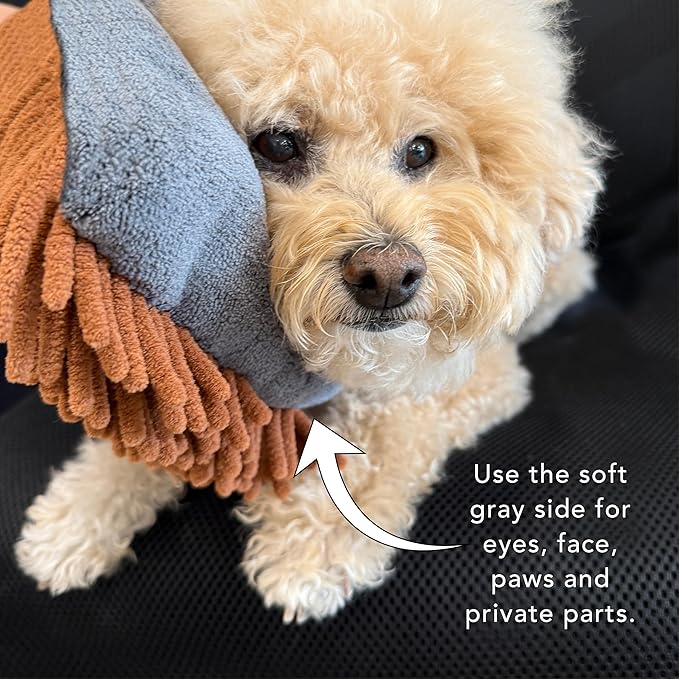 Pride and Groom The MITT KIT: A Waterless Bath for Dogs - Foaming Dry Shampoo and a Pet Sensitive Glove for a Rinse Free Cleanse and to Eliminate Odor
