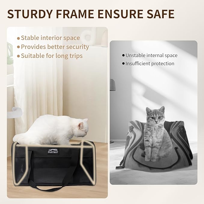 TSA Approved Pet Carrier in Cabin with Foldable Litter Box for Kittens and Small Dogs Fits Pets Up to 15 lbs, Animal Rabbit Puppy Soft Pet Carrier Portable Airline Approved, Travel for Comfort, Black