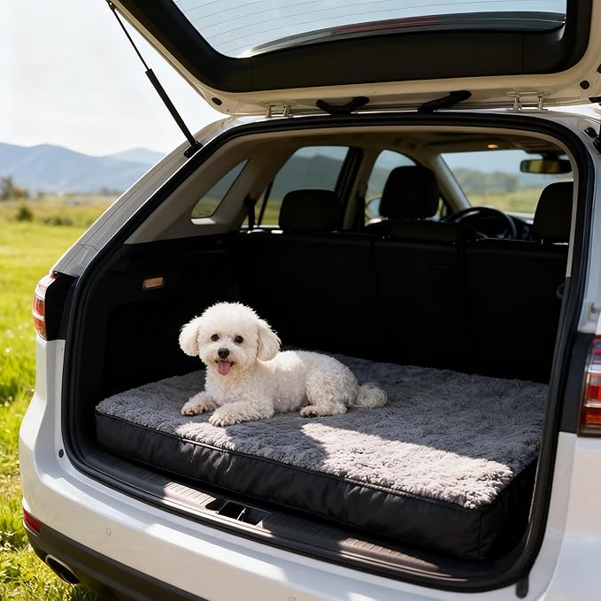 RichePet Dog Bed with Waterproof Inner Liner, Removable Cover, Egg Crate Foam Dog Beds, Easy to Clean，30×20Inch，Gray