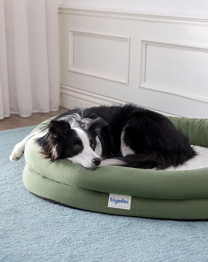 bilypaws Orthopedic Dog Bed for Medium Size Dogs, Chew-Resistant Pet Sofa Bed with Egg Crate Foam, 4-Sided Bolster, Removable Washable Cover & Anti-Slip Bottom, Medium Olivine