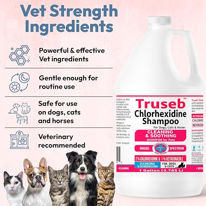 Truseb Topical Ketoconazole and Chlorhexidine Shampoo for Dogs, Cats & Horses Pleasantly Scented with a Cucumber Melon Scent with Aloe (Ketoconazole & Chlorhexidine Shampoo, 1 Gallon)