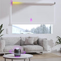 Astomi Motorized Roller Shades for Windows, Effortless Remote & Voice Control