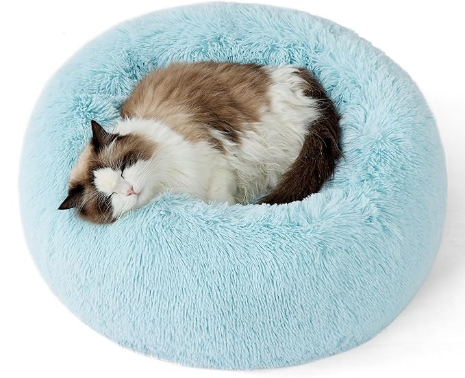 Bedsure Calming Cat Beds for Indoor Cats - Small Cat Bed Washable 20 inches, Anti-Slip Round Fluffy Plush Faux Fur Pet Bed, Fits up to 15 lbs Pets, Aqua Blue