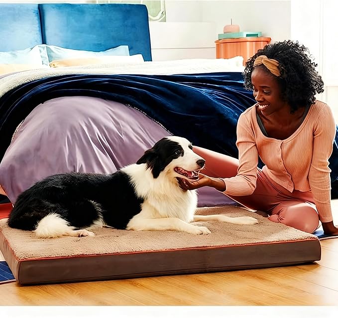 RichePet Dog Bed with Waterproof Inner Liner, Removable Cover, Egg Crate Foam Dog Beds, Easy to Clean，30×20Inch，Gray