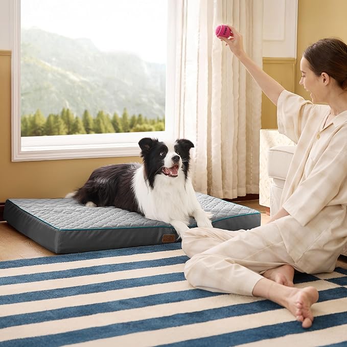 Bedsure Orthopedic Dog Bed Large Sized Dog - Memory Foam Pet Mattress with Removable Washable Cover and Egg Crate Foam, Thick Flat Suitable for Pet Up to 65 lbs, 36x27x3.5 Inches, Grey