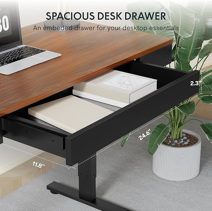 FLEXISPOT Q5 Standing Desk