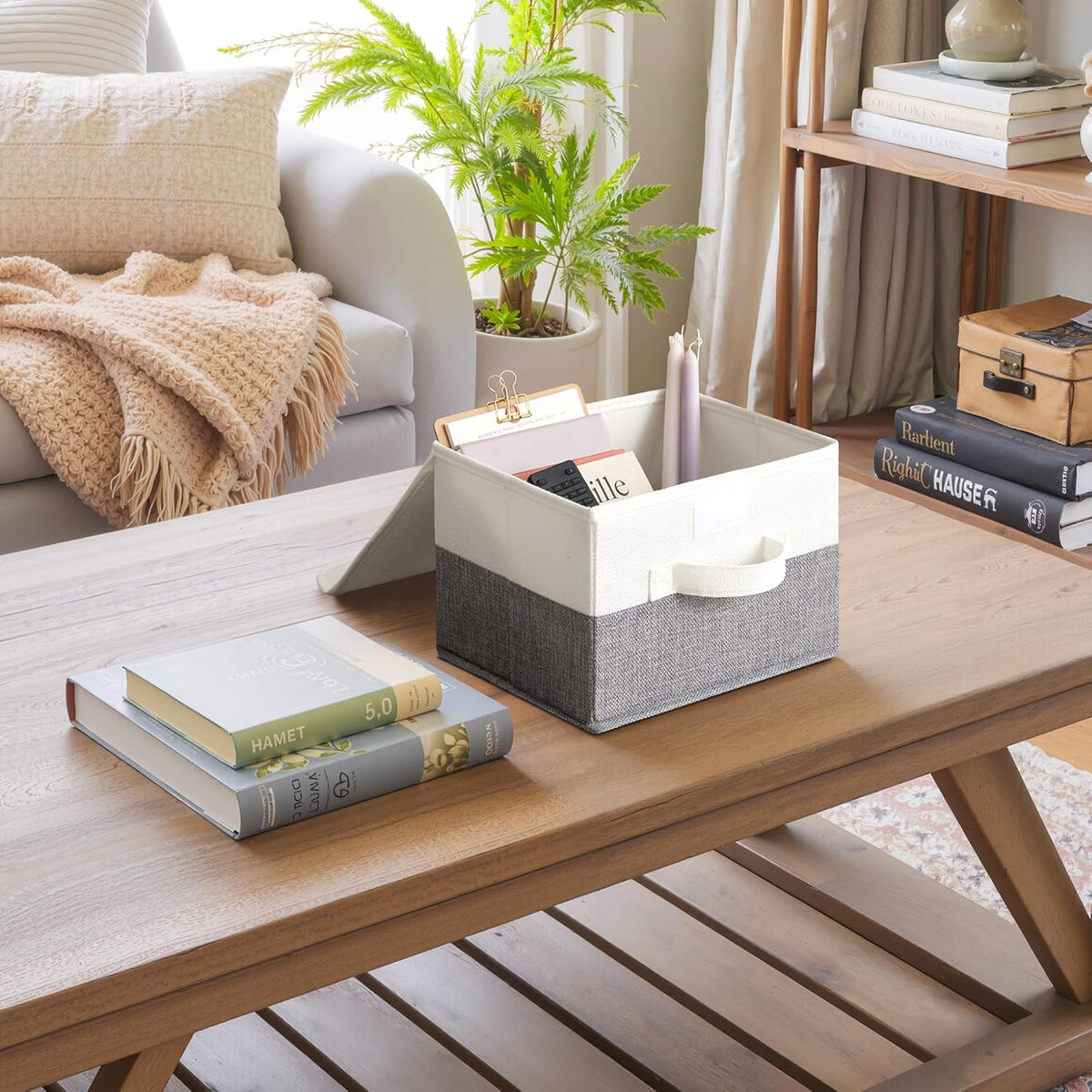 GRANNY SAYS Small Storage Bins with Lids, Small Storage Boxes, Shelf Baskets for Shelf, Collapsible Storage Bins for Living Room, Bedroom, 10x8x7 Inch, White/Gray, 2-Pack