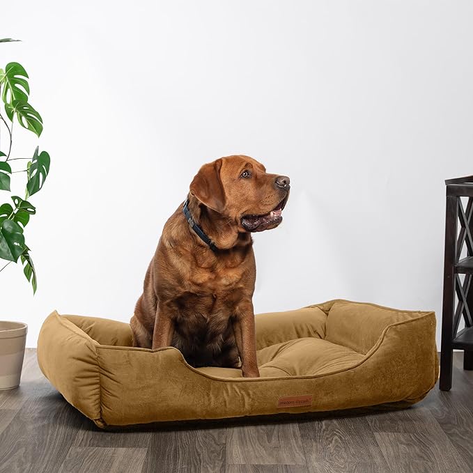 Modern Threads Luxury Dog Bed - Comfortable Tufted Velvet Cushion for Small to Large Dogs - Machine Washable - Durable & Cute Sleep Space for Pets - Pamper Your Pet with Cozy Beds - Caramel