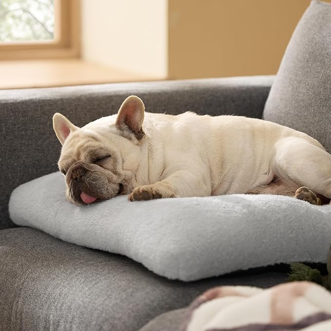 Bedsure Washable Dog Bed Medium Size Dog, Comfort Fluffy Plush Pillow Bed Crate Pad, Non-Slip and Machine Washable Kennel Pet Sleeping Mat, 29"x21", Gray