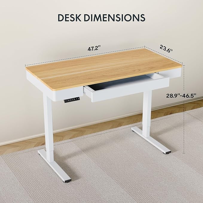 FLEXISPOT Q5 Standing Desk
