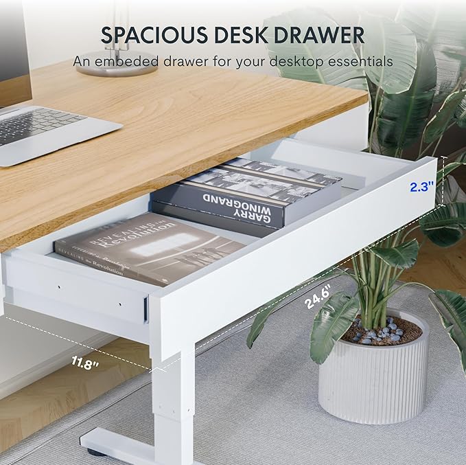 FLEXISPOT Q5 Standing Desk