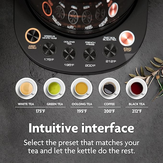 Vianté Electric Kettle With Infuser