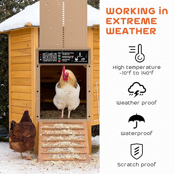Asfrost Automatic Chicken Coop Door Solar Powered Automatic Chicken Door