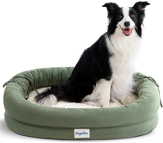 bilypaws Orthopedic Dog Bed for Large Dogs, Pet Sofa Bed with Egg Crate Foam, 4-Sided Bolster, Removable Washable Cover & Anti-Slip Bottom, Large Calliste Green