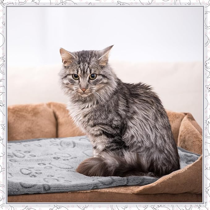 Tegeme 12 Pcs Pet Blankets Soft Fluffy Fleece Dog Cat Warm Paw Print Pattern Blankets Flannel Throw for Pets Dog Puppy Cat(23 x 16 Inch,Gray)