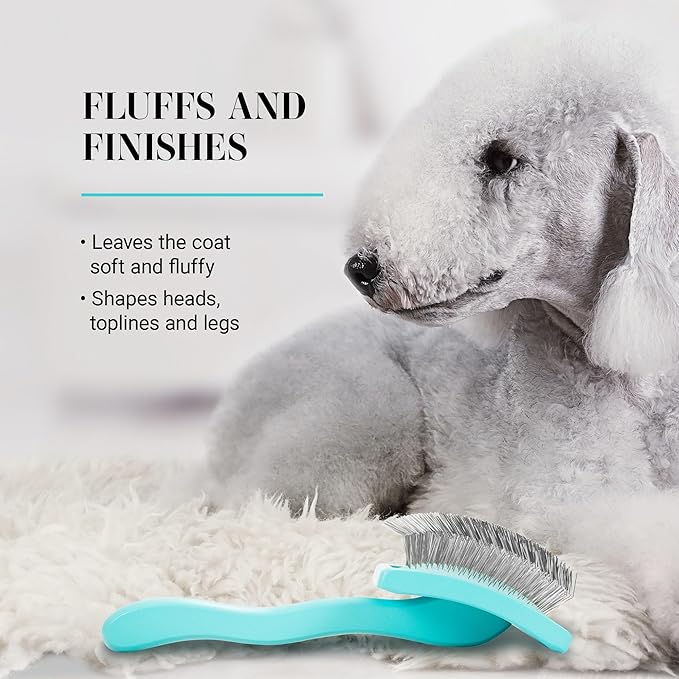 Chris Christensen Big G Dog Slicker Brush for Dogs (Goldendoodles, Labradoodles, Poodles), Groom Like a Professional, Fluff Detangle Style, Saves Time Energy, Teal, Large