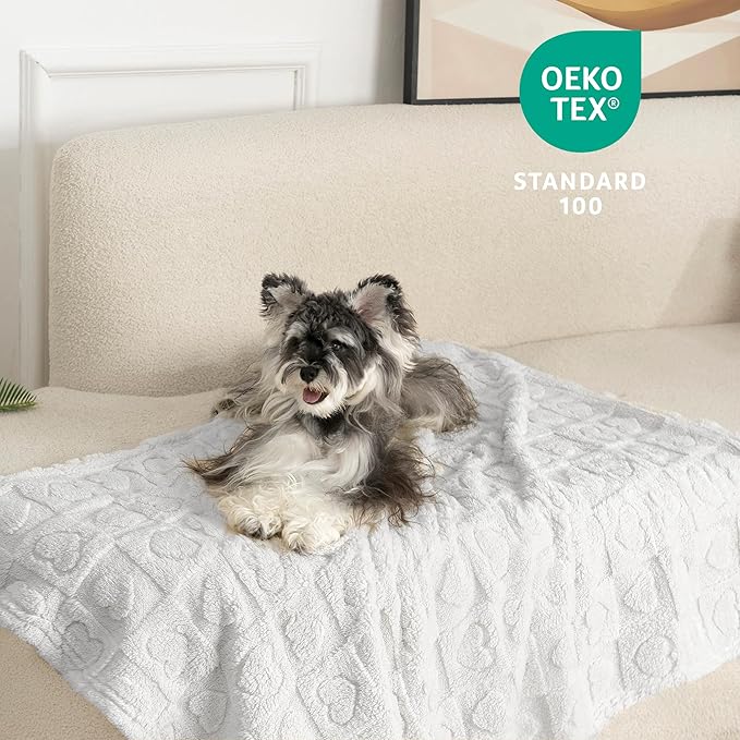 gogobunny Calming Plush Dog Cat Blanket 300GSM Coral Fleece, Ultra-Soft Machine Washable Pet Bedding for Small Medium Dogs Cats Puppies Kittens (Silver, 50x60)