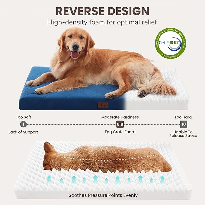 Warmrest Orthopedic Dog Bed Mat Large Medium Sized Dogs, Waterproof Dog Crate Bed with Removable Cover, Washable Pet Bed with Egg Crate Foam, 35"x22"
