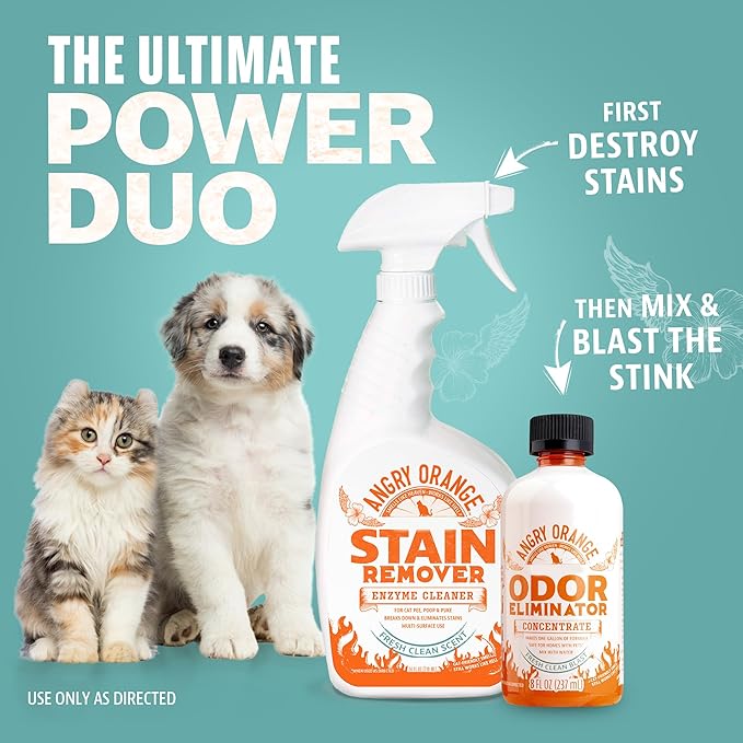 Angry Orange Pet Odor Eliminator Concentrate for Cat Urine and Smells - Fresh Scent - 8 oz (Makes 128 oz of Cleaner)