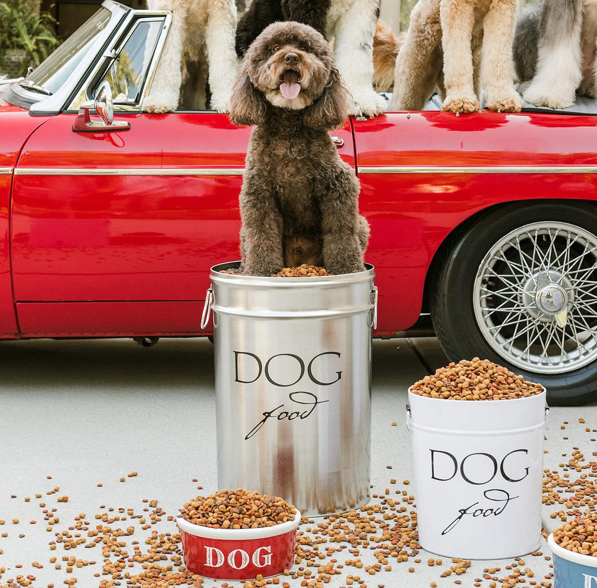 Harry Barker Pet Food Storage Collection, Classic White Food Storage - Small
