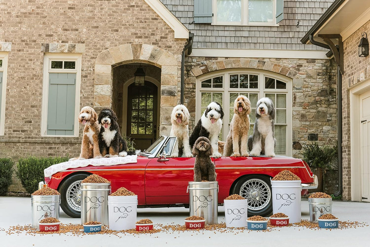 Harry Barker Pet Food Storage Collection, Classic Silver Food Storage - Medium