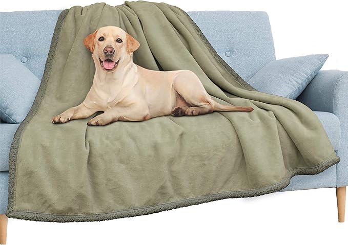 PAVILIA Waterproof Blanket for Couch, Sofa | Waterproof Dog Blanket for Large Dog, Puppy, Cat | Pet Blanket Protector | Plush Soft Warm Fuzzy Sherpa Blanket Bed Throw, Taupe, 60x80